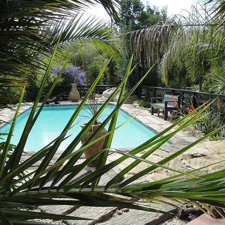 Pine Tree Lodge Midrand Bagian luar foto