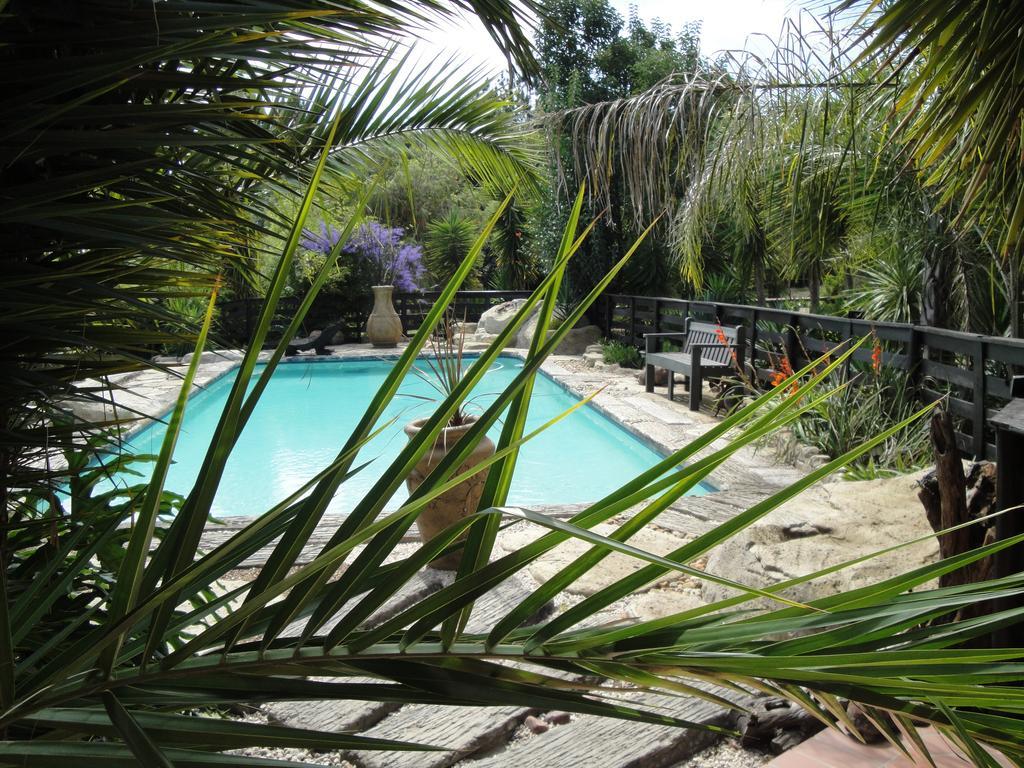 Pine Tree Lodge Midrand Bagian luar foto