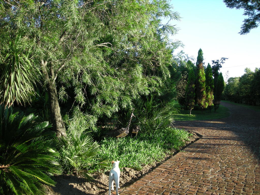 Pine Tree Lodge Midrand Bagian luar foto