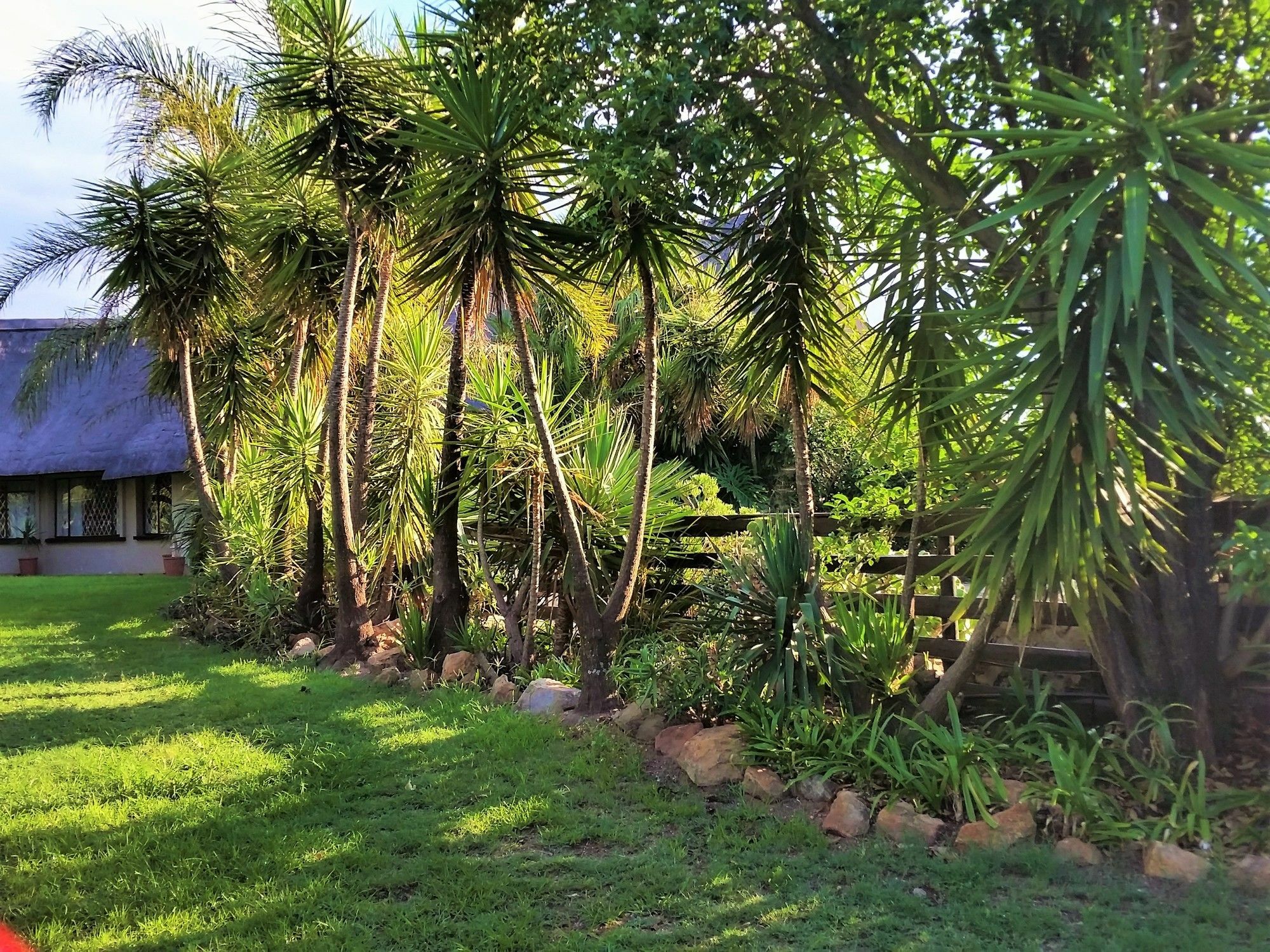 Pine Tree Lodge Midrand Bagian luar foto