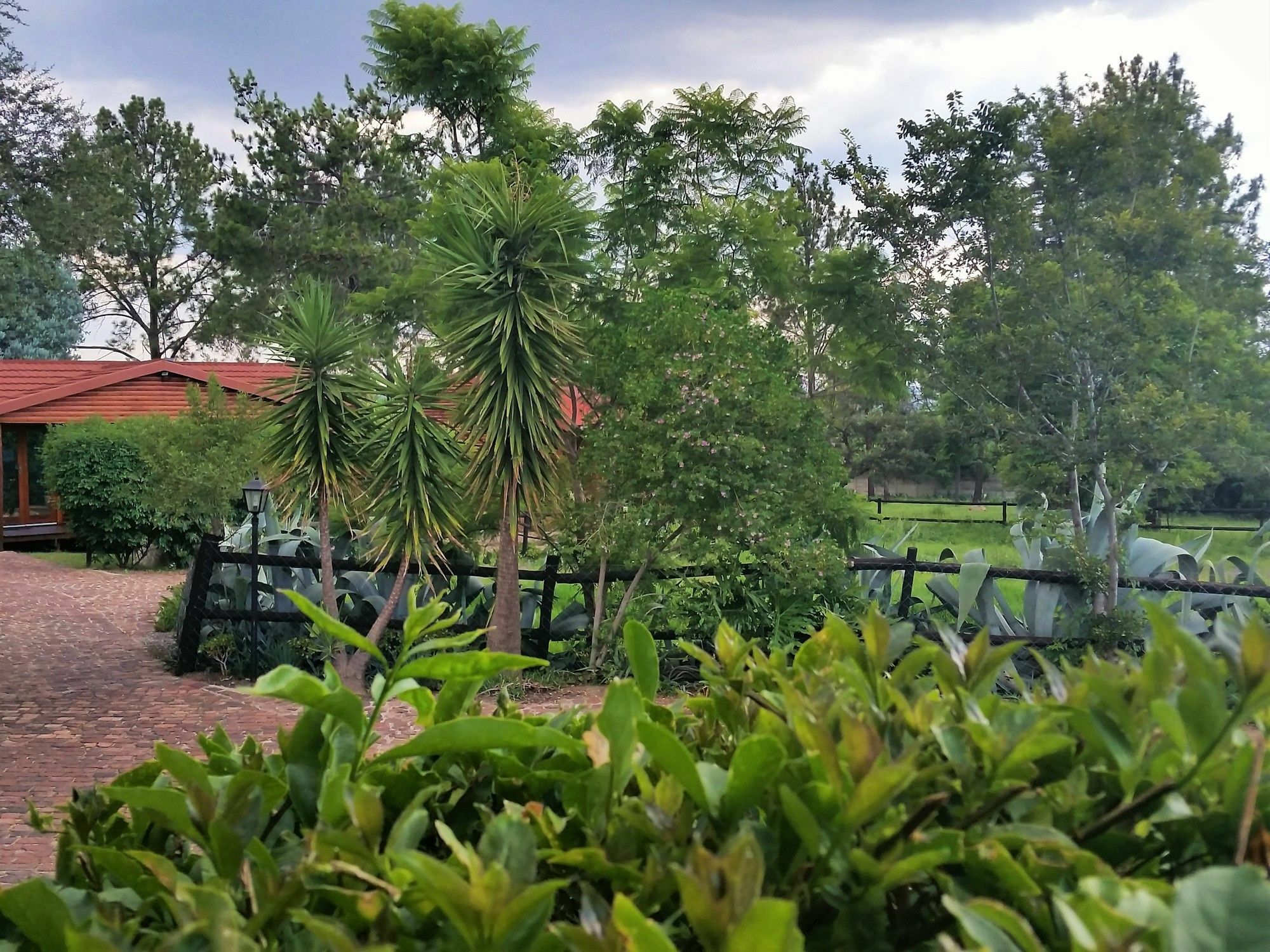 Pine Tree Lodge Midrand Bagian luar foto